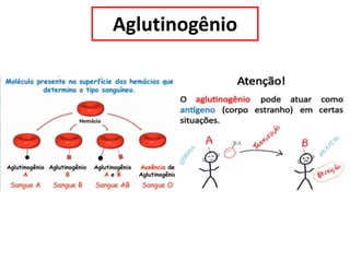 Aglutinogênio
 
