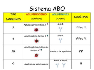 Sistema ABO
 