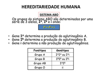 Os grupos do sistema ABO são determinados por uma
série de 3 alelos, IA, IB e i onde:
• Gene IA determina a produção do aglutinogênio A.
• Gene IB determina a produção do aglutinogênio B.
• Gene i determina a não produção de aglutinogênios.
Fenótipos Genótipos
Grupo A IAIA ou IAi
Grupo B IBIB ou IBi
Grupo AB IAIB
Grupo O ii
IA = IB > i
HEREDITARIEDADE HUMANA
SISTEMA ABO
 