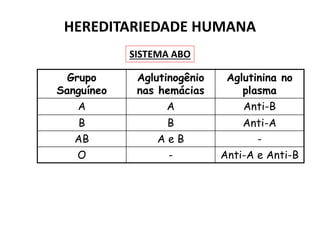Grupo
Sanguíneo
Aglutinogênio
nas hemácias
Aglutinina no
plasma
A A Anti-B
B B Anti-A
AB A e B -
O - Anti-A e Anti-B
HEREDITARIEDADE HUMANA
SISTEMA ABO
 