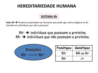 Fator Rh  Proteína encontrada nas hemácias que pode agir como antígeno se for
inserida em indivíduos que não a possuam.
Rh+  indivíduos que possuem a proteína.
Rh-  indivíduos que não possuem a proteína.
Doações
Rh- Rh+
Fenótipos Genótipos
Rh+ RR ou Rr
Rh- rr
HEREDITARIEDADE HUMANA
SISTEMA Rh
 