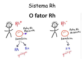 Sistema Rh
 