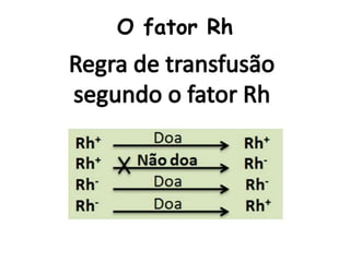 O fator Rh
 