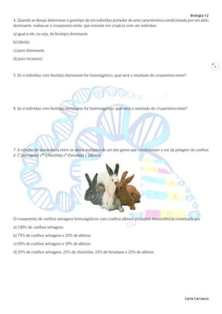 Biologia 12
Carla Carrasco
2
4. Quando se deseja determinar o genótipo de um indivíduo portador de uma característica condicionada por um alelo
dominante, realiza-se o cruzamento-teste, que consiste em cruzá-lo com um indivíduo
a) igual a ele, ou seja, de fenótipo dominante.
b) híbrido.
c) puro dominante.
d) puro recessivo.
5. Se o indivíduo com fenótipo dominante for homozigótico, qual será o resultado do cruzamento-teste?
6. Se o indivíduo com fenótipo dominante for heterozigótico, qual será o resultado do cruzamento-teste?
7. A relação de dominância entre os alelos múltiplos de um dos genes que condicionam a cor da pelagem de coelhos
é: C (selvagem) cch
(chinchila) ch
(himalaia) c (albino).
O cruzamento de coelhos selvagens homozigóticos com coelhos albinos produzirá descendência constituída por
a) 100% de coelhos selvagens.
b) 75% de coelhos selvagens e 25% de albinos.
c) 50% de coelhos selvagens e 50% de albinos.
d) 25% de coelhos selvagens, 25% de chinchilas, 25% de himalaias e 25% de albinos.
 