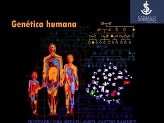 Genética humana PROFESOR: QBA MIGUEL ANGEL CASTRO RAMIREZ 