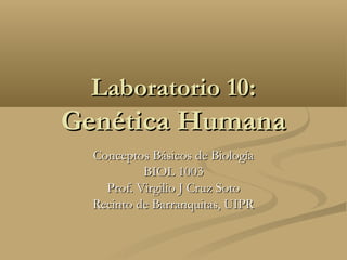 Laboratorio 10:

Genética Humana
Conceptos Básicos de Biología
BIOL 1003
Prof. Virgilio J Cruz Soto
Recinto de Barranquitas, UIPR

 