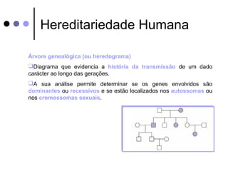 Hereditariedade Humana 
Árvore genealógica (ou heredograma) 
Diagrama que evidencia a história da transmissão de um dado ...