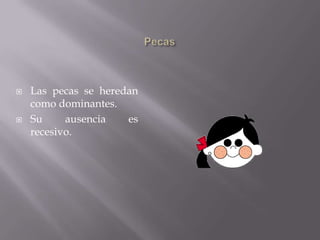 Las uñas derechas se deben a un gen recesivo.Hipertricosis de la orejaEl rasgo se refiere al crecimiento de pelos prominentes sobre la superficie y en el borde de la oreja. Es una herencia ligada al cromosoma Y, de tal manera que es un gen holándrico.Se transmite de varón a varón, de abuelo, a padre, a hijo.