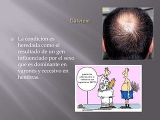 PecasLas pecas se heredan como dominantes. Su ausencia es recesivo.