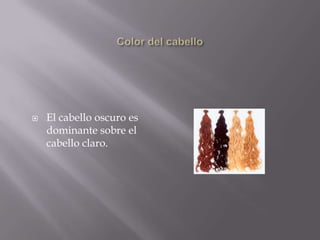 Color de los ojosCuando una persona es homocigota para un gen recesivo no posee pigmento en la parte delantera de sus ojos y la capa azul que hay en la parte trasera del iris se ve a través. Esto ocasiona el color azul en los ojos. 
