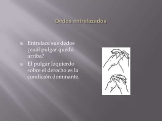 Dedos entrelazadosEntrelace sus dedos ¿cuál pulgar quedó arriba? El pulgar Izquierdo sobre el derecho es la condición dominante.
