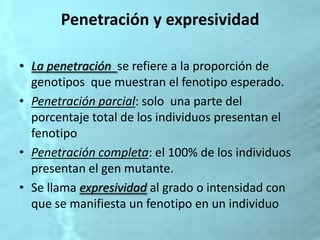 Penetración y expresividad
• La penetración se refiere a la proporción de
genotipos que muestran el fenotipo esperado.
• Penetración parcial: solo una parte del
porcentaje total de los individuos presentan el
fenotipo
• Penetración completa: el 100% de los individuos
presentan el gen mutante.
• Se llama expresividad al grado o intensidad con
que se manifiesta un fenotipo en un individuo
 
