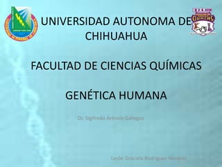 UNIVERSIDAD AUTONOMA DE
CHIHUAHUA
FACULTAD DE CIENCIAS QUÍMICAS
GENÉTICA HUMANA
Dr. Sigifredo Arévalo Gallegos
Leslie Graciela Rodríguez Nevárez
 