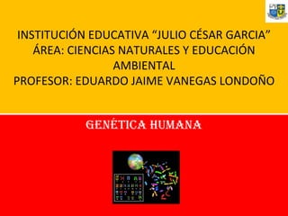 INSTITUCIÓN EDUCATIVA “JULIO CÉSAR GARCIA” ÁREA: CIENCIAS NATURALES Y EDUCACIÓN AMBIENTAL PROFESOR: EDUARDO JAIME VANEGAS LONDOÑO GENÉTICA HUMANA 