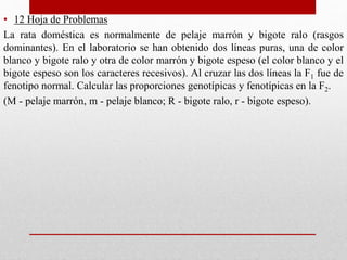 Genética (I).pptx