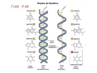 Noções de Genética:  Flash - Back   