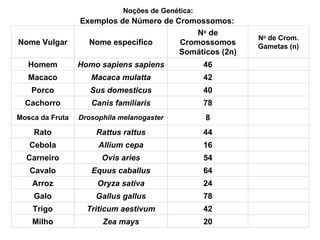 Noções de Genética:   Exemplos de Número de Cromossomos:  20 42 78 24 64 54 16 44 8 78 40 42 46 N o  de Cromossomos Somáticos (2n) Zea mays Milho Triticum aestivum Trigo Gallus gallus Galo Oryza sativa Arroz Equus caballus Cavalo Ovis aries Carneiro Allium cepa Cebola Rattus rattus Rato Drosophila melanogaster Mosca da Fruta Canis familiaris Cachorro Sus domesticus Porco Macaca mulatta Macaco Homo sapiens sapiens Homem N o  de Crom. Gametas (n) Nome específico Nome Vulgar 