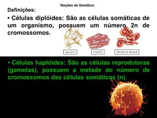 Definições: Noções de Genética:   •  Células haplóides: São as células reprodutoras (gametas), possuem a metade do número de cromossomos das células somáticas (n). •  Células diplóides: São as células somáticas de um organismo, possuem um número 2n de cromossomos. 