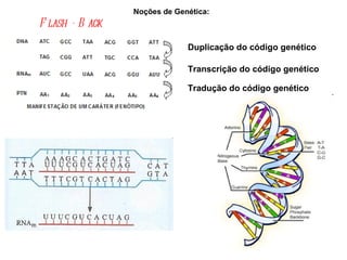 Flash - Back   Noções de Genética:  Duplicação do código genético Transcrição do código genético Tradução do código genético 