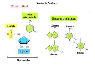 Noções de Genética:
Flash - Back
 