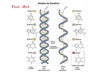 Noções de Genética:
Flash - Back
 