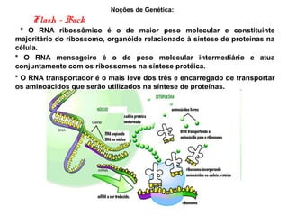 Noções de Genética:
Flash - Back
* O RNA ribossômico é o de maior peso molecular e constituinte
majoritário do ribossomo, organóide relacionado à síntese de proteínas na
célula.
* O RNA mensageiro é o de peso molecular intermediário e atua
conjuntamente com os ribossomos na síntese protéica.
* O RNA transportador é o mais leve dos três e encarregado de transportar
os aminoácidos que serão utilizados na síntese de proteínas.
 