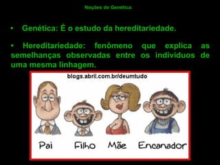• Genética: É o estudo da hereditariedade.
Noções de Genética:
• Hereditariedade: fenômeno que explica as
semelhanças observadas entre os indivíduos de
uma mesma linhagem.
 