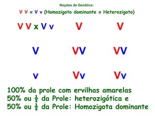 Noções de Genética:
V V x V v V V
V VV VV
v Vv Vv
V V x V v (Homozigoto dominante x Heterozigoto)
100% da prole com ervilhas amarelas
50% ou ½ da Prole: heterozigótica e
50% ou ½ da Prole: Homozigota dominante
 