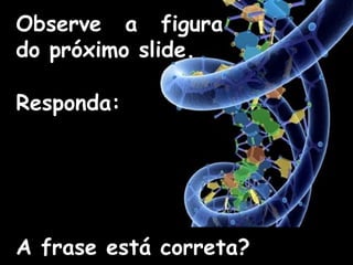 Observe a figura
do próximo slide.
Responda:
A frase está correta?
 