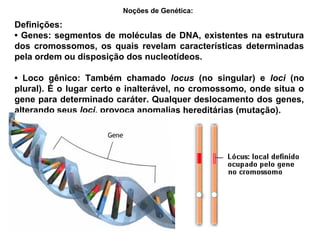Definições:
• Genes: segmentos de moléculas de DNA, existentes na estrutura
dos cromossomos, os quais revelam características determinadas
pela ordem ou disposição dos nucleotídeos.
• Loco gênico: Também chamado locus (no singular) e loci (no
plural). É o lugar certo e inalterável, no cromossomo, onde situa o
gene para determinado caráter. Qualquer deslocamento dos genes,
alterando seus loci, provoca anomalias hereditárias (mutação).
Noções de Genética:
 