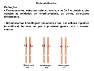 Definições:
• Cromossomos: estrutura celular, formada de DNA e proteína, que
contém as unidades de hereditariedade, os genes, arranjados
linearmente.
• Cromossomos homólogos: São aqueles que, nas células diplóides
(somáticas), formam um par e possuem genes para o mesmo
caráter.
Noções de Genética:
 