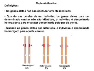 Definições:
• Os genes alelos não são necessariamente idênticos.
- Quando nas células de um indivíduo os genes alelos para um
determinado caráter não são idênticos, o indivíduo é denominado
heterozigoto para o caráter denominado pelo par de genes.
- Quando os genes alelos são idênticos, o indivíduo é denominado
homozigoto para aquele caráter.
Noções de Genética:
 