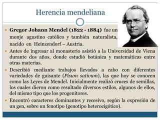 Herencia mendeliana
 Gregor Johann Mendel (1822 - 1884) fue un
monje agustino católico y también naturalista,
nacido en Heinzendorf – Austria.
 Antes de ingresar al monasterio asistió a la Universidad de Viena
durante dos años, donde estudió botánica y matemáticas entre
otras materias.
 Describió mediante trabajos llevados a cabo con diferentes
variedades de guisante (Pisum sativum), las que hoy se conocen
como las Leyes de Mendel. Inicialmente realizó cruces de semillas,
los cuales dieron como resultado diversos estilos, algunos de ellos,
del mismo tipo que los progenitores.
 Encontró caracteres dominantes y recesivo, según la expresión de
un gen, sobre un fenotipo (genotipo heterocigótico).
 