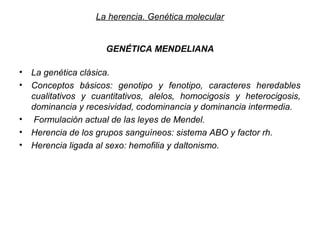 La herencia. Genética molecular
 

                      GENÉTICA MENDELIANA

•   La genética clásica.
•   Conceptos básicos: genotipo y fenotipo, caracteres heredables
    cualitativos y cuantitativos, alelos, homocigosis y heterocigosis,
    dominancia y recesividad, codominancia y dominancia intermedia.
•    Formulación actual de las leyes de Mendel.
•   Herencia de los grupos sanguíneos: sistema ABO y factor rh.
•   Herencia ligada al sexo: hemofilia y daltonismo.
 