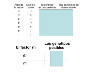 Alelo de   Alelo del      El genotipo     Tipo sanguíneo del
la madre     padre      del descendiente      descendiente
    IA          IA            AA                  A
    IA         IB             AB*                 AB
   IA           i             AO                  A
   IB           IA            AB*                 AB
   IB          IB             BB                  B
   IB           i             BO                  B
    i           i             OO                  O


                             Los genotipos
 El factor rh                  posibles
                                    rh+/rh+
         rh+
                                    rh+/rh-
         rh-                        rh-/rh-
 