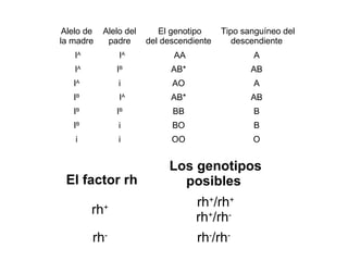 Alelo de   Alelo del      El genotipo     Tipo sanguíneo del
la madre     padre      del descendiente      descendiente
    IA          IA            AA                  A
    IA         IB             AB*                 AB
   IA           i             AO                  A
   IB           IA            AB*                 AB
   IB          IB             BB                  B
   IB           i             BO                  B
    i           i             OO                  O


                             Los genotipos
 El factor rh                  posibles
                                    rh+/rh+
         rh+
                                    rh+/rh-
         rh-                        rh-/rh-
 