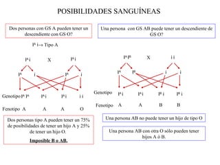 POSIBILIDADES SANGUÍNEAS

   Dos personas con GS A pueden tener un                   Una persona con GS AB puede tener un descendiente de
          descendiente con GS O?                                                GS O?

                    IA i→ Tipo A


             IA i                           IA i                          IA IB               X              ii
                              X


        IA          i                  IA          i               IA             IB                     i          i



                                                        Genotipo   IA i                IA i       IB i            IB i
Genotipo IA IA          I i
                        A
                                   I i
                                   A
                                                   ii
                                                        Fenotipo   A                   A          B               B
Fenotipo A              A          A               O

  Dos personas tipo A pueden tener un 75%                    Una persona AB no puede tener un hijo de tipo O
  de posibilidades de tener un hijo A y 25%
              de tener un hijo O.                             Una persona AB con otra O sólo pueden tener
                                                                             hijos A ó B.
                 Imposible B o AB.
 