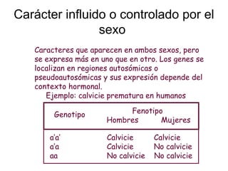Carácter influido o controlado por el
                sexo
   Caracteres que aparecen en ambos sexos, pero
   se expresa más en uno que en otro. Los genes se
   localizan en regiones autosómicas o
   pseudoautosómicas y sus expresión depende del
   contexto hormonal.
      Ejemplo: calvicie prematura en humanos

        Genotipo            Fenotipo
                       Hombres      Mujeres

       a’a’            Calvicie      Calvicie
       a’a             Calvicie      No calvicie
       aa              No calvicie   No calvicie
 