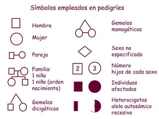 Símbolos empleados en pedigríes

Hombre                    Gemelos
                          monogóticos
Mujer

                          Sexo no
Pareja                    especificado

                          Número
Familia:        2   3     hijos de cada sexo
1 niña
1 niño (orden             Individuos
nacimiento)               afectados

Gemelos                   Heterocigotos
dicigóticos               alelo autosómico
                          recesivo
 