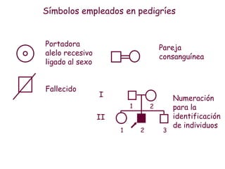 Símbolos empleados en pedigríes


Portadora                             Pareja
alelo recesivo                        consanguínea
ligado al sexo


Fallecido
                 I                         Numeración
                          1       2        para la
                 II                        identificación
                                           de individuos
                      1       2        3
 