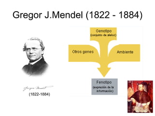 Gregor J.Mendel (1822 - 1884)




   (1822-1884)
 