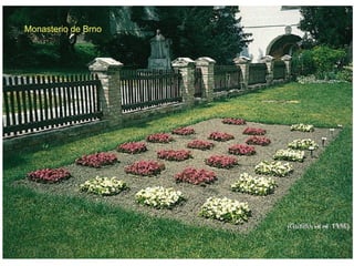 Monasterio de Brno
 