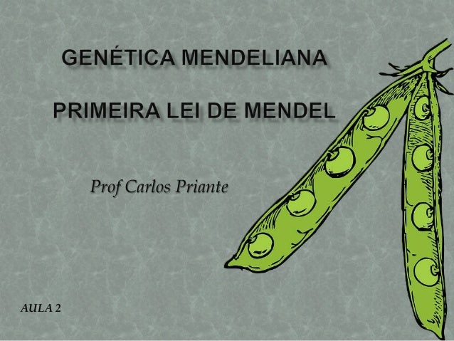 Prof Carlos Priante
AULA 2
 