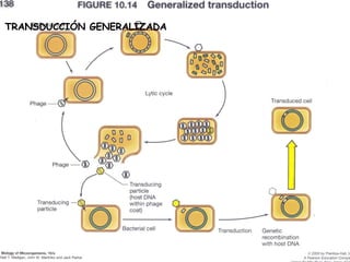 TRANSDUCCIÓN GENERALIZADA 