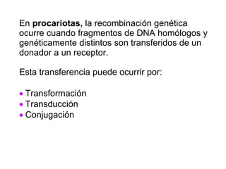 En  procariotas,  la recombinación genética ocurre cuando fragmentos de DNA homólogos y genéticamente distintos son transferidos de un donador a un receptor.  Esta transferencia puede ocurrir por:    Transformación    Transducción     Conjugación  