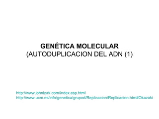 GENÉTICA MOLECULAR
(AUTODUPLICACION DEL ADN (1)

http://www.johnkyrk.com/index.esp.html
http://www.ucm.es/info/genetica/grupod/Replicacion/Replicacion.htm#Okazaki

 