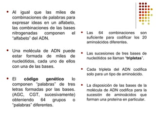  Al igual que las miles de
combinaciones de palabras para
expresar ideas en un alfabeto,
las combinaciones de las bases
nitrogenadas componen el
“alfabeto” del ADN.
 Una molécula de ADN puede
estar formada de miles de
nucleótidos, cada uno de ellos
con una de las bases.
 El código genético lo
componen “palabras” de tres
letras formadas por las bases.
(AGC, CGT, sucesivamente)
obteniendo 64 grupos o
“palabras” diferentes.
 Las 64 combinaciones son
suficiente para codificar los 20
aminoácidos diferentes.
 Las sucesiones de tres bases de
nucleótidos se llaman “tripletas”.
 Cada tripleta del ADN codifica
solo para un tipo de aminoácido.
 La disposición de las bases de la
molécula de ADN codifica para la
sucesión de aminoácidos que
forman una proteína en particular.
 
