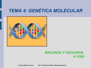 TEMA 4: GENÉTICA MOLECULAR
Biología y Geología
4º ESO
Lourdes Baile Lorenzo IES “Gabriel yGalán” (Montehermoso)
 