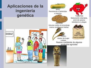 Aplicaciones de la
ingeniería
genética
 