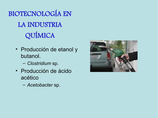 • Producción de etanol y
butanol.
– Clostridium sp.
• Producción de ácido
acético
– Acetobacter sp.
BIOTECNOLOG A ENÍ
LA INDUSTRIA
QU MICAÍ
 
